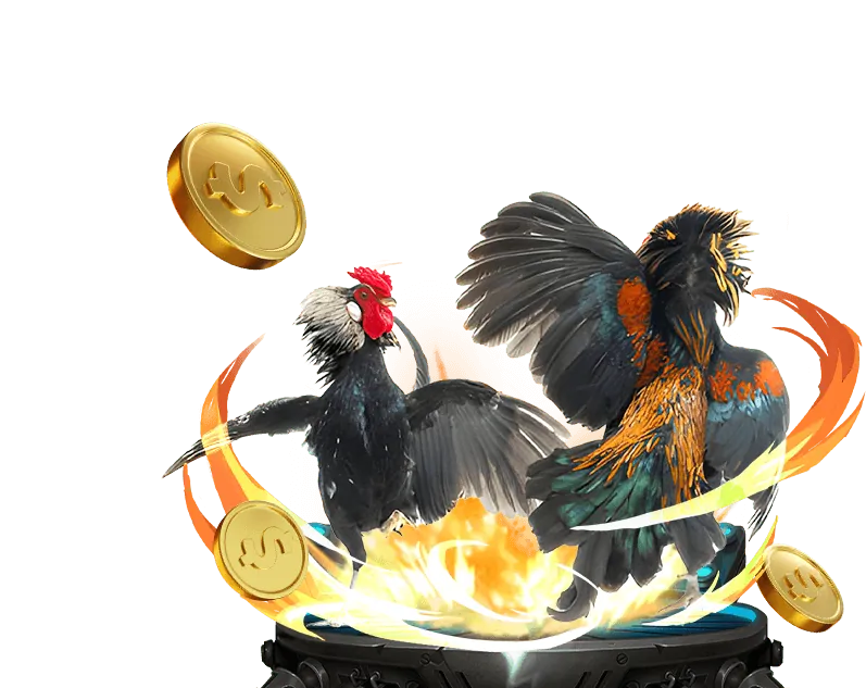 Hình ảnh đá gà Thomo bình luận viên trực tiếp tại 888slot